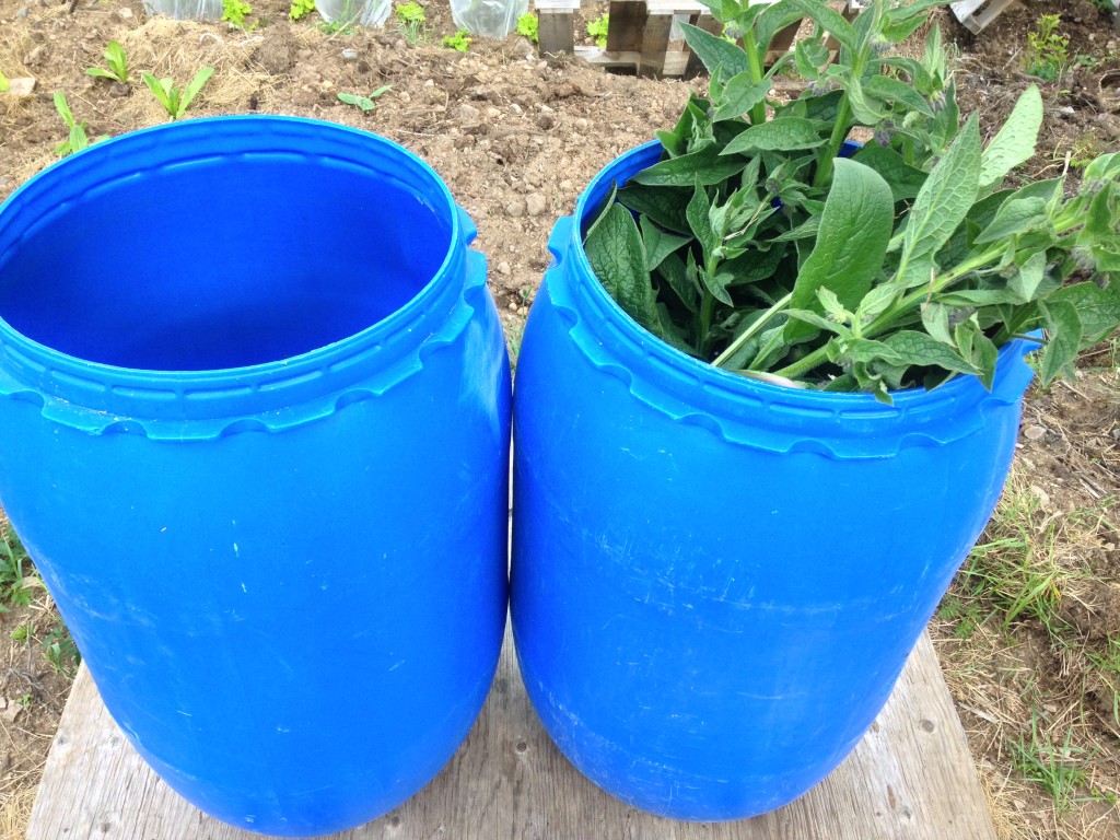 homemade fertilizer pebble and fern market garden